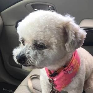 Meet your Posher, Wendy